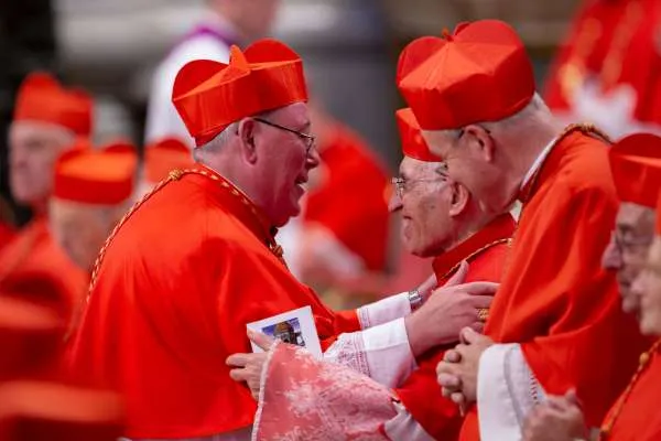 Il Cardinale Hollerich |  | Daniel Ibanez CNA