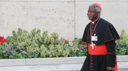 Il Cardinale Peter Turkson, prefetto del Dicastero per il Servizio dello Sviluppo Umano Integrale  / MM / ACI Group