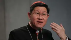 Il Cardinale Luis Antonio Tagle, prefetto di Propaganda Fide / archivio CNA