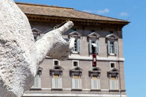 La recita dell' Angelus guidata da Papa Francesco  |  | Daniel Ibáñez/ Aci Group