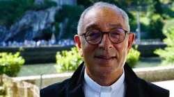 Il Cardinale Angelo de Donatis, Vicario del Papa per la diocesi di Roma,  durante il pellegrinaggio diocesano a Lourdes, 25 agosto 2020 / Anthony Johnson / ACI Group