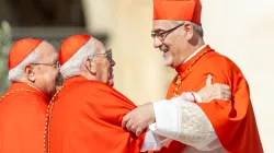 Il Cardinale Pierbattista Pizzaballa - Daniel Ibanez CNA