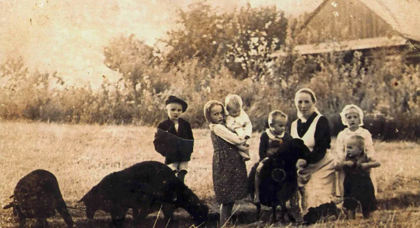 La famiglia Ulma  |  | Arcidiocesi di Przemyśl 